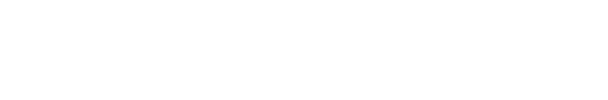 Space GUO